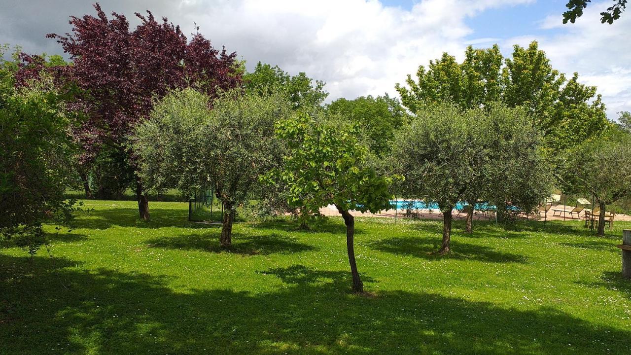 La Vecchia Fornace Guest House Cortona Bagian luar foto